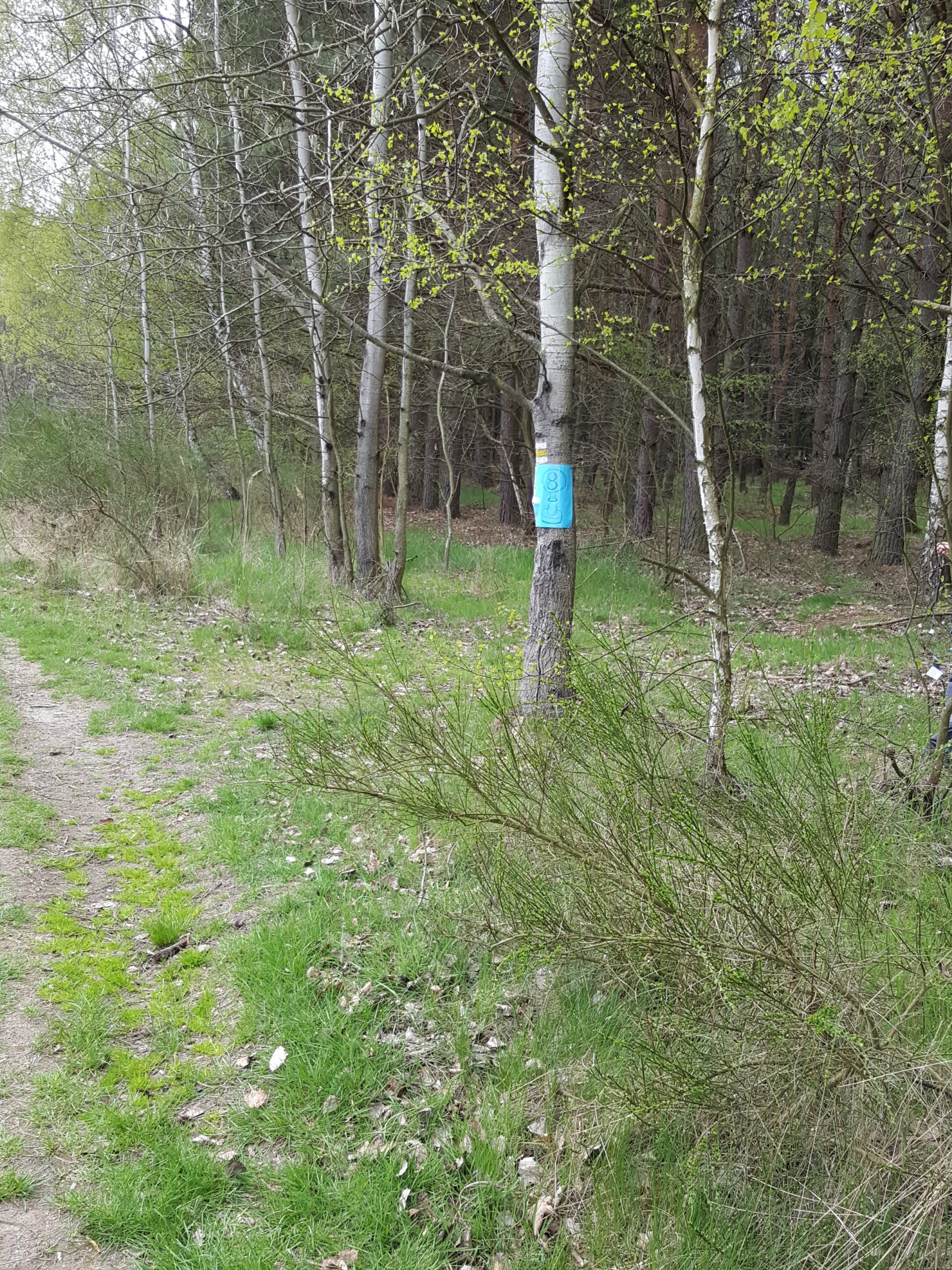 20160423_172504