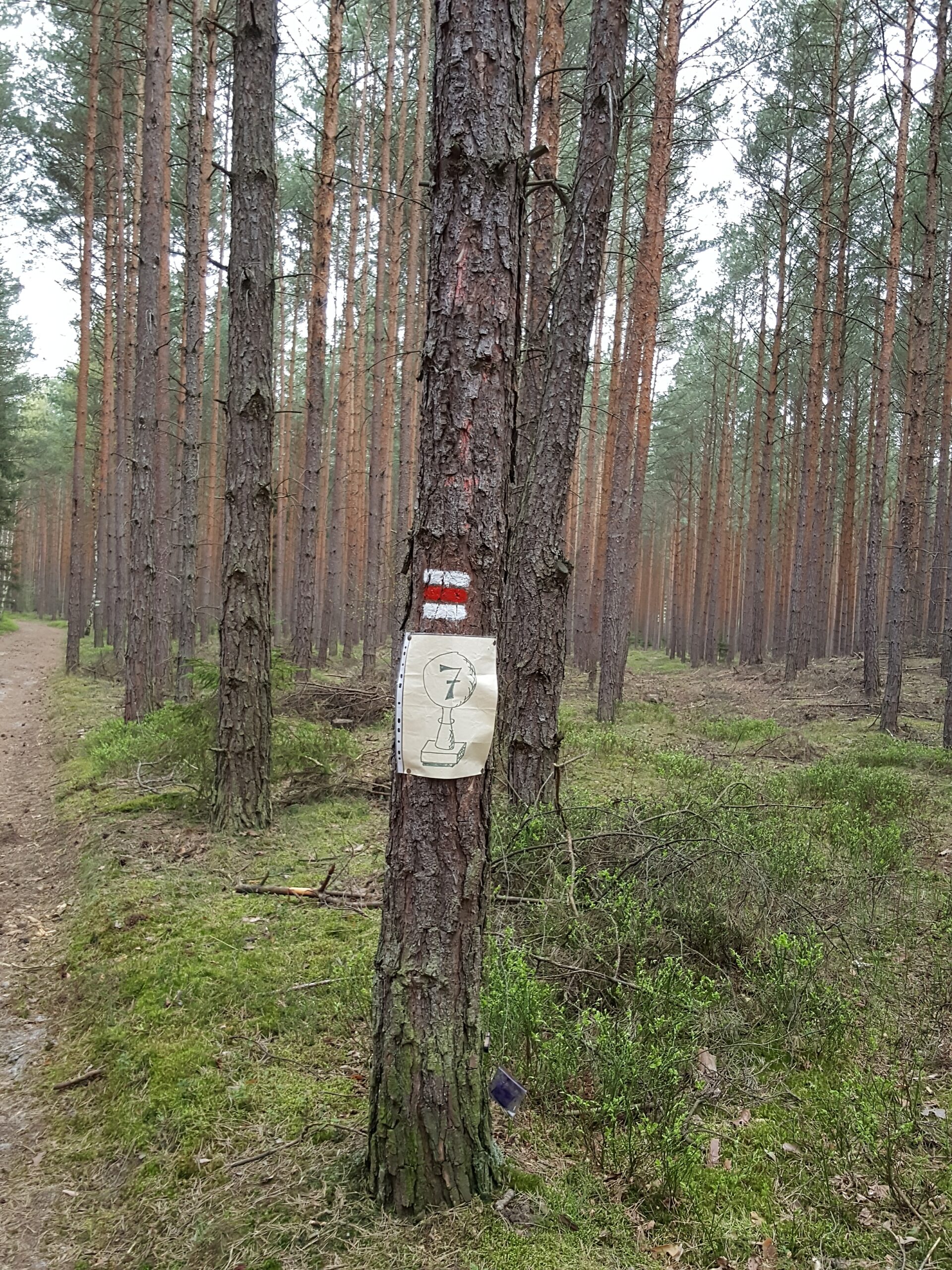 20160423_173749