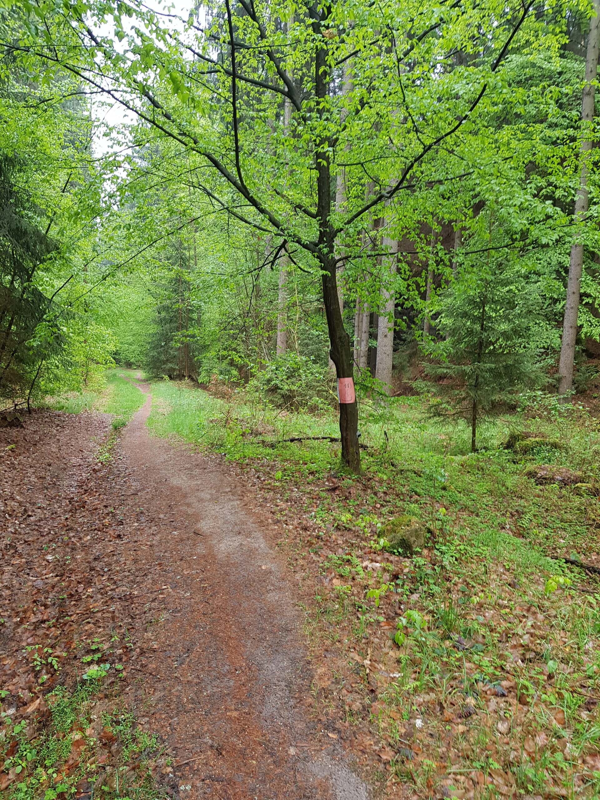 Boudecká 2019 – 26. ročník