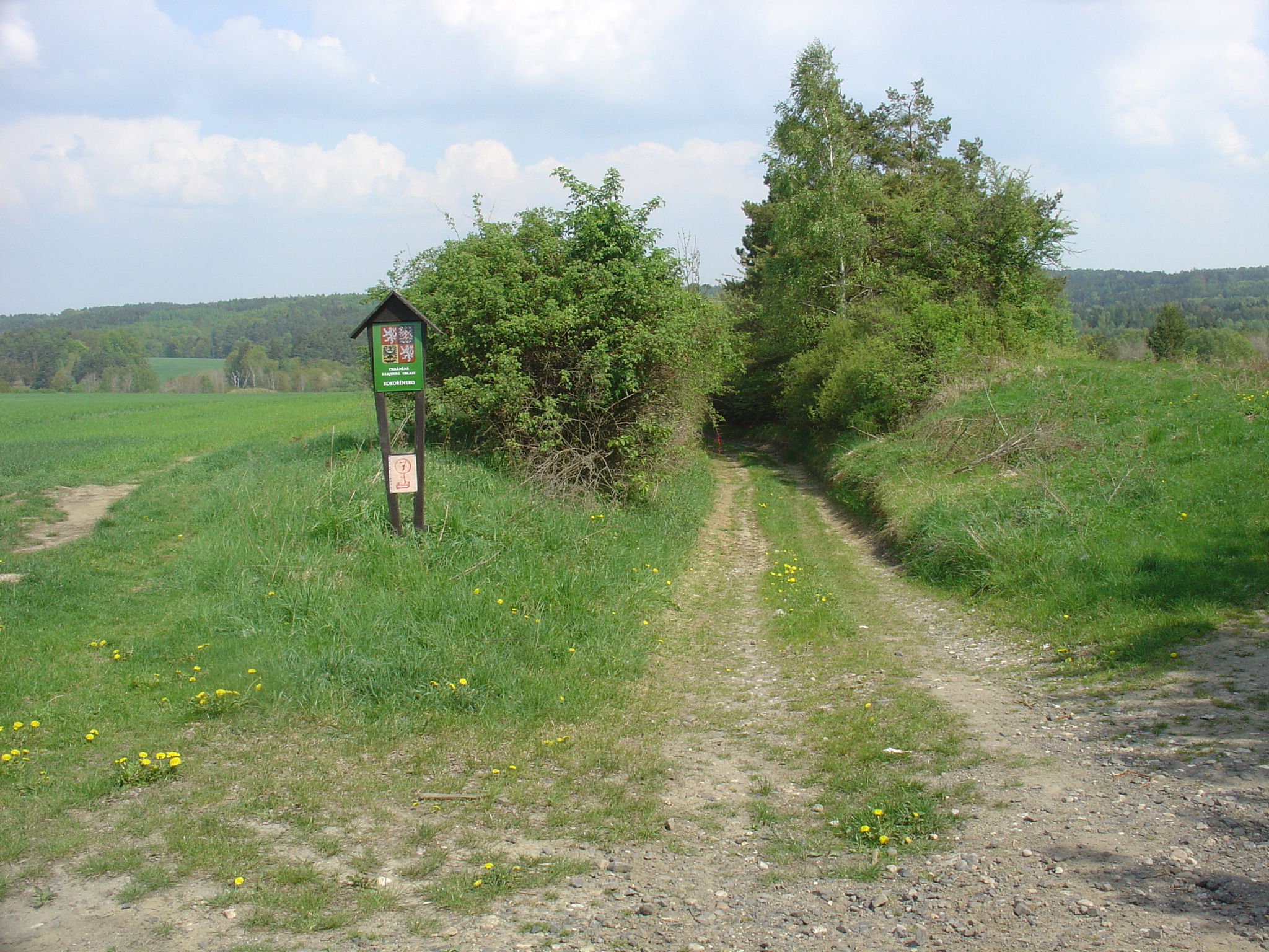 DSC00197