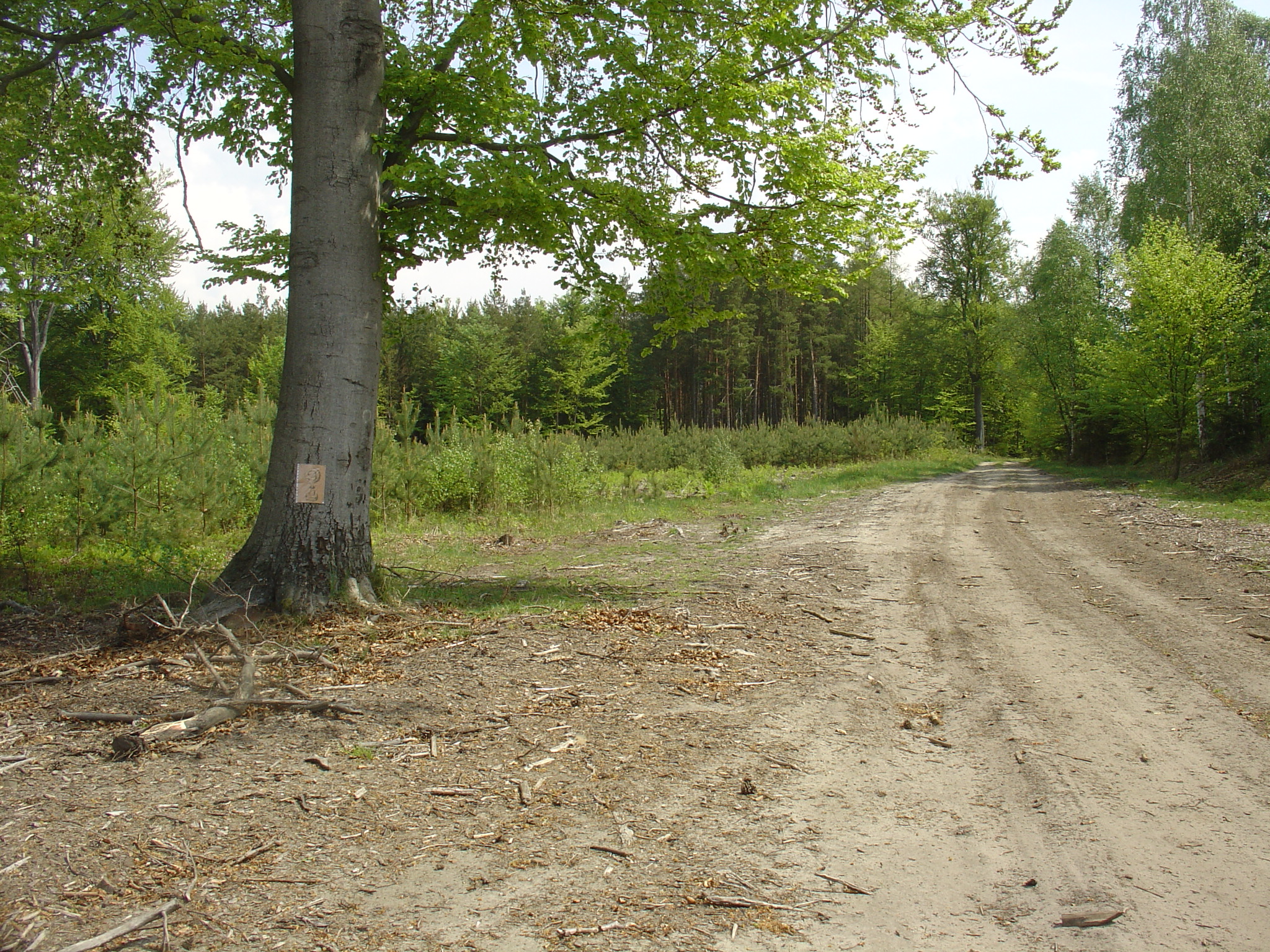 DSC00199