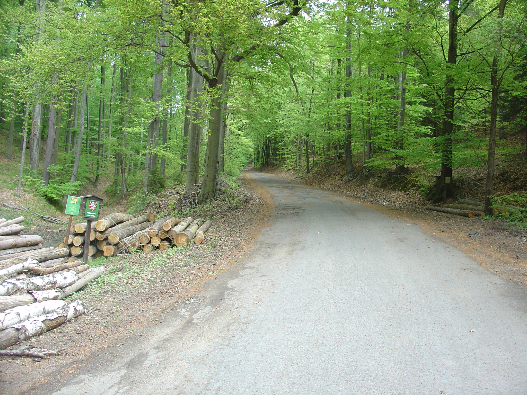 DSC00202