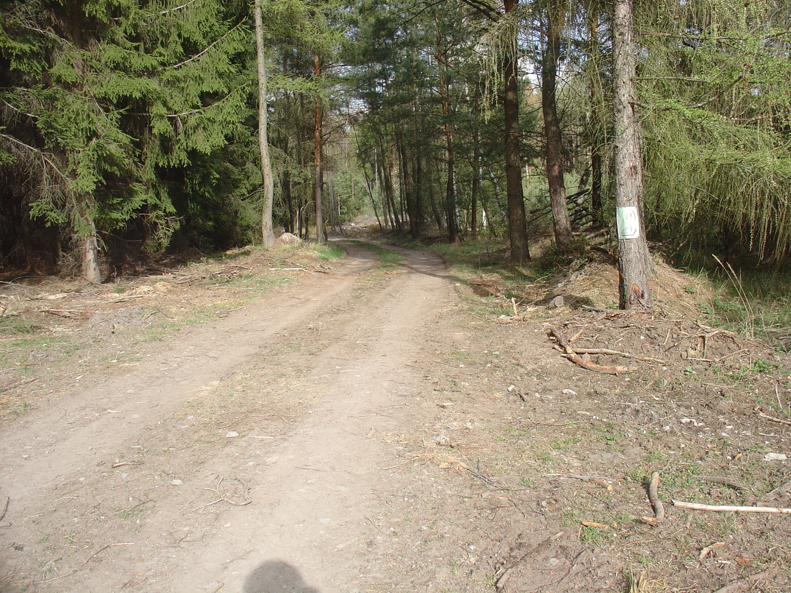 DSC01166