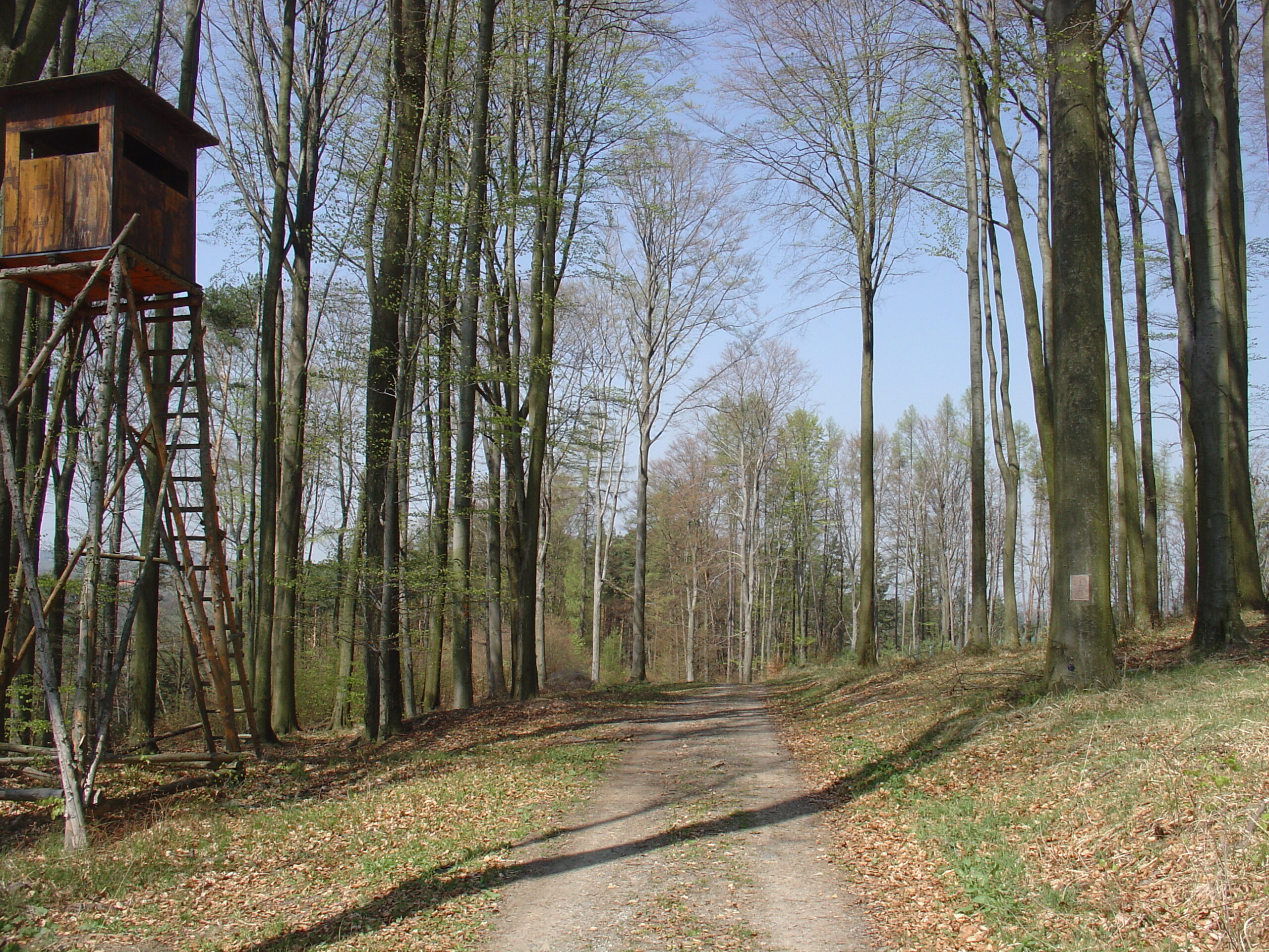 DSC01764