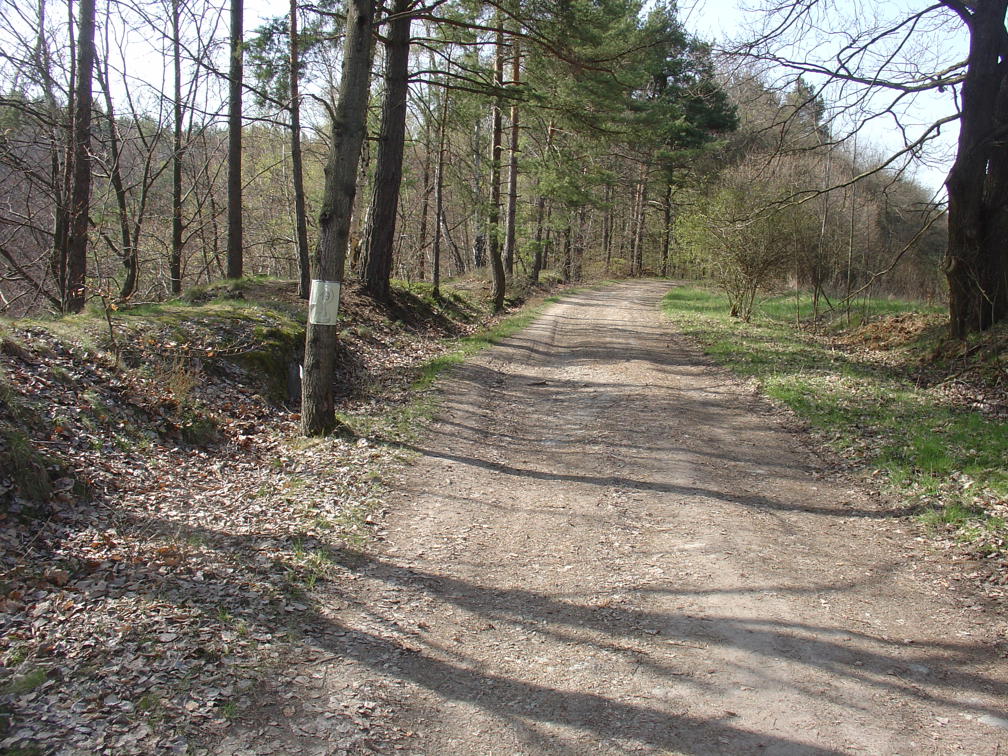 DSC08992