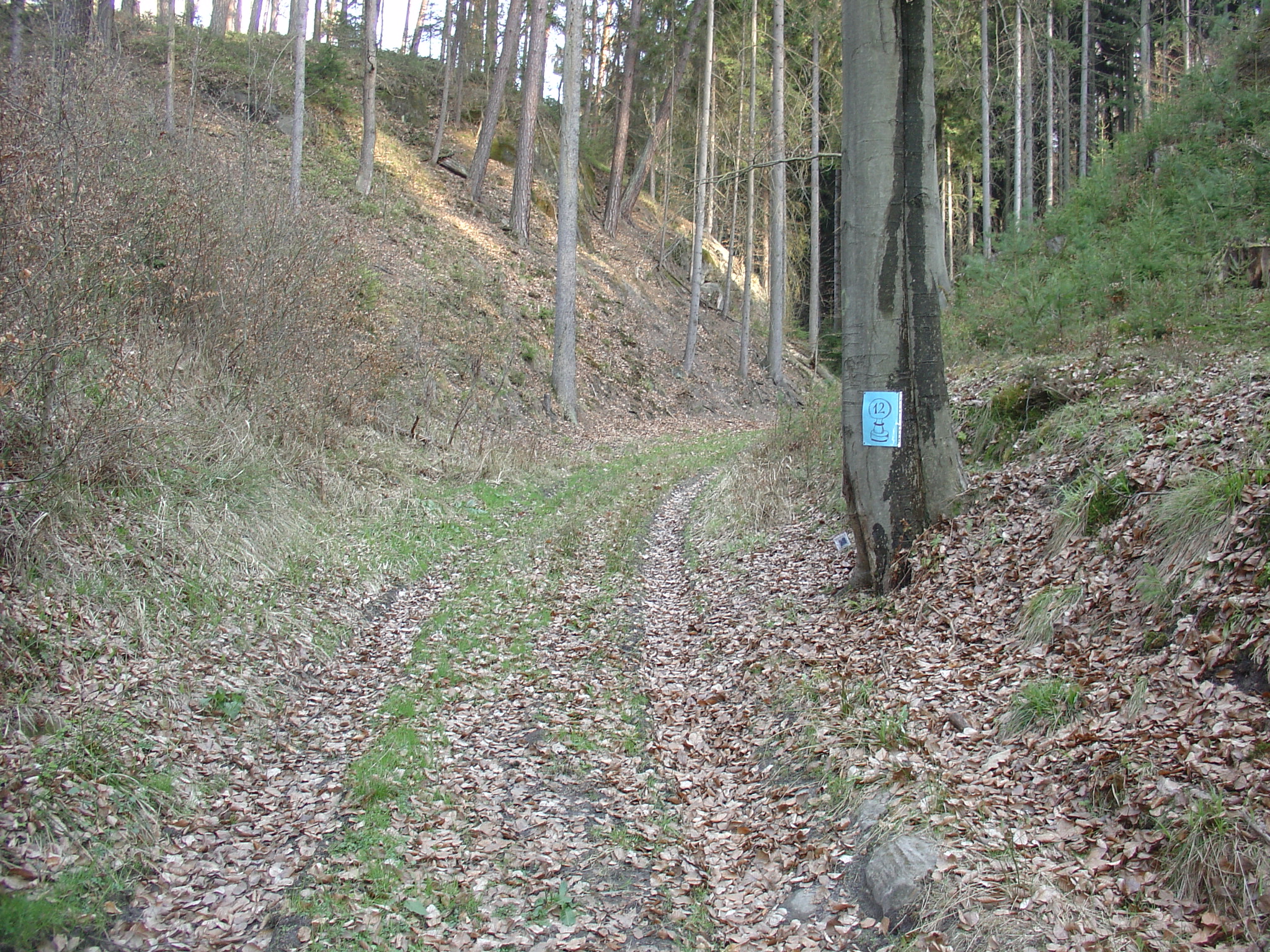 DSC08997